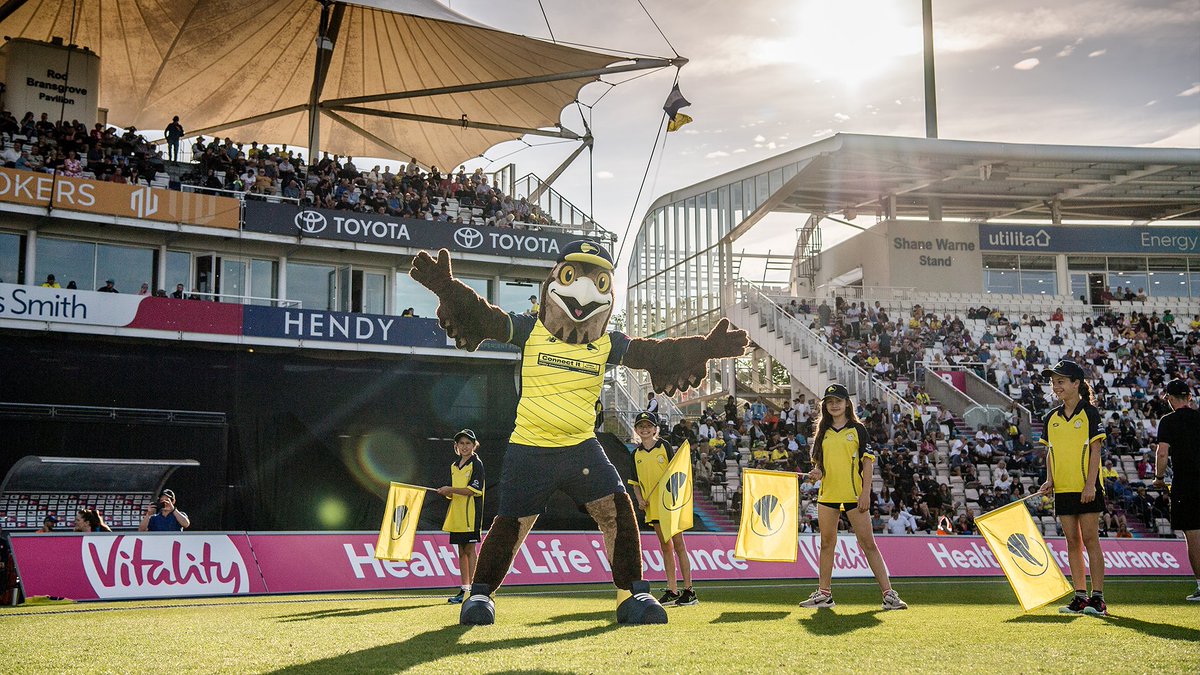 Hampshire Hawks tweet media