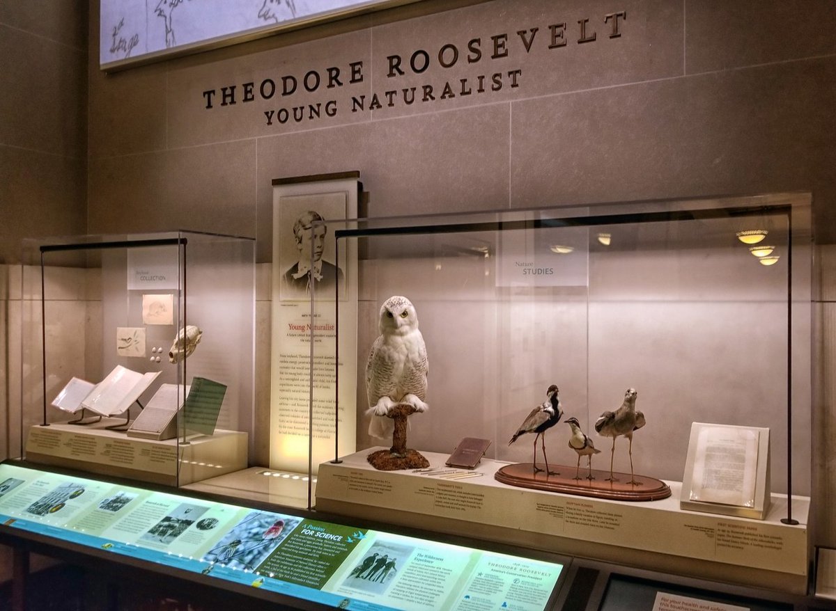 Theodore Roosevelt Presidential Library tweet media