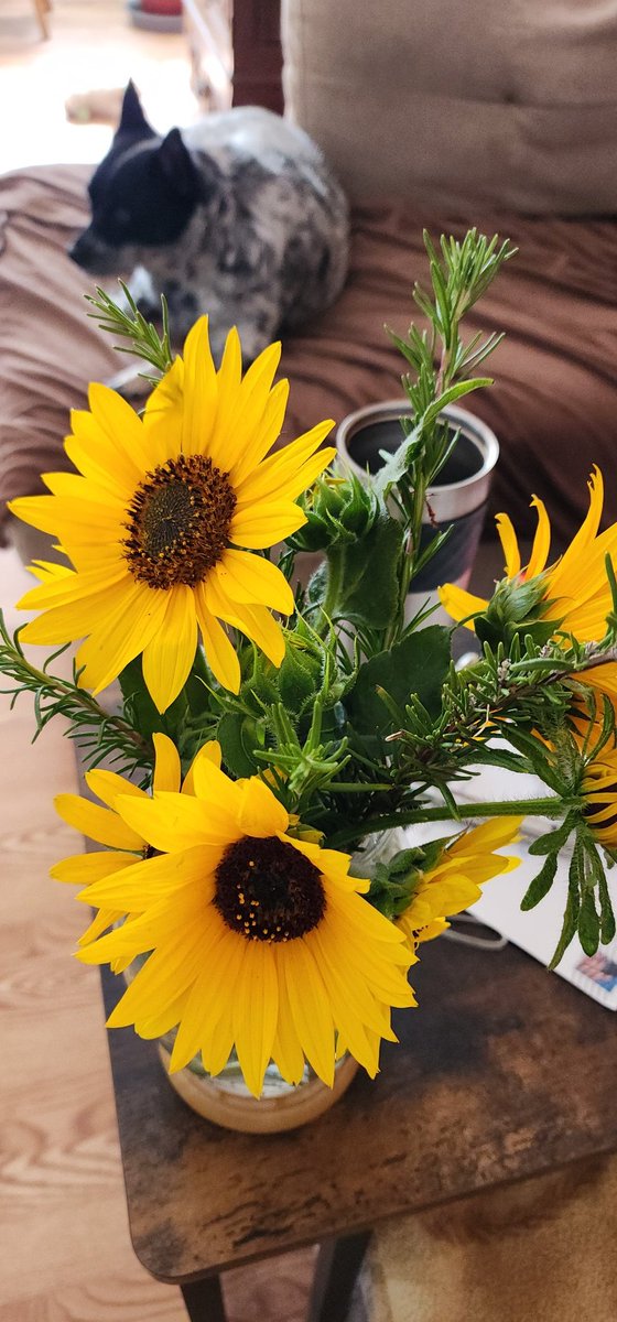 leafroe's tweet photo. #HoodMorning https://t.co/undEXnRzEH