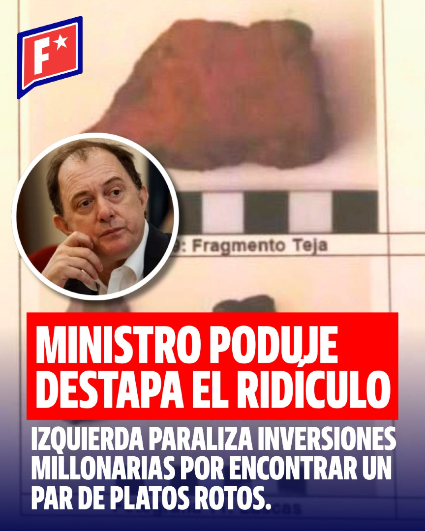 Factos Chile tweet media