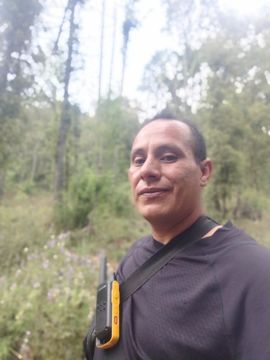 BETOpingu's tweet photo. Desvelado y todo pero un rato en el bosque.... https://t.co/lO06IrtrNB