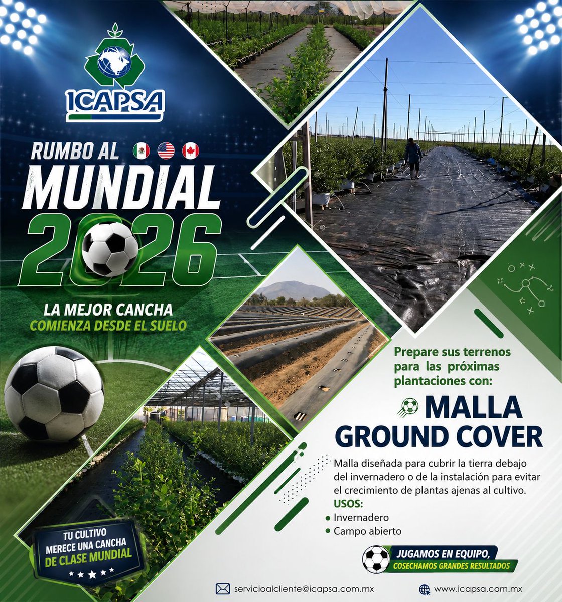 ICAPSAMX's tweet photo. #MALLAGROUNDCOVER#ICAPSA#CULTIVANDOEXPERIENCIAS https://t.co/p9Tkvscbs9