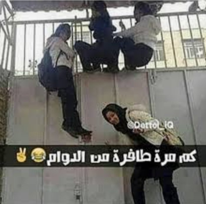 شــوق الياسمين 𝐒𝐇𝐎𝐔𝐐 𝐀𝐋 𝐘𝐀𝐒𝐌𝐄𝐄𝐍 tweet media