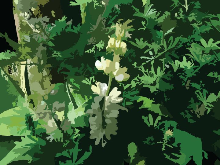 WorkshopJohnson's tweet photo. Art of the Day! "Digital Art Nature collection #144". Buy at: https://t.co/rNLCNXD790 https://t.co/c42JJYpgNW