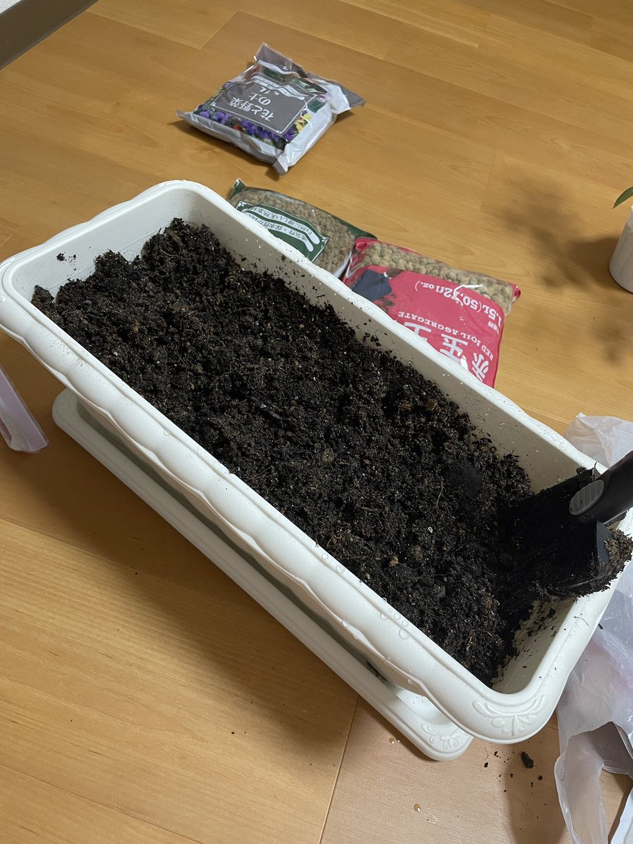 たいしん tweet media