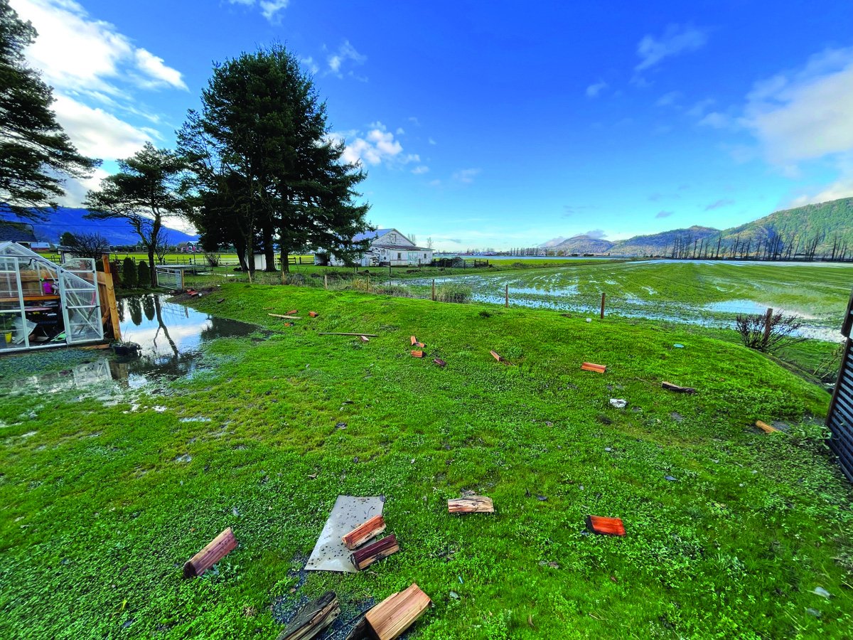 PumperMag's tweet photo. 🌧 SEPTIC DETECTIVE
Flooding can create major system issues. This article covers proactive measures and recovery strategies to reduce failures and environmental impacts.

👉 Explore recovery strategies:
https://t.co/kekHJaKinR https://t.co/0c61fVRyWC