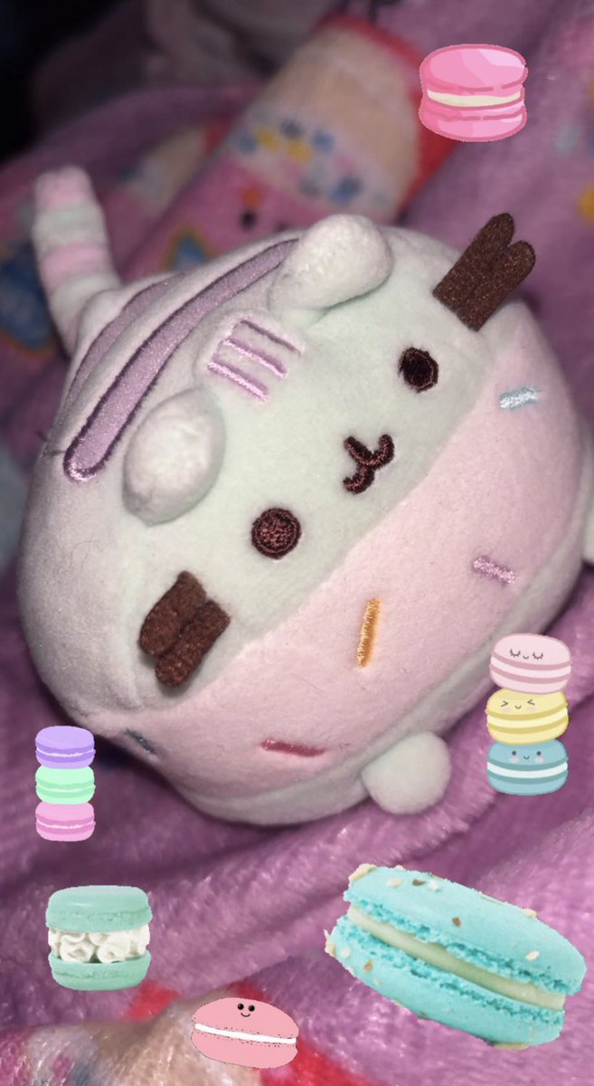 ᨳ ໒꒰ྀི ◞ ˕ ҂ 𐦯১ ໒꒱ིྀ༝⁺ tweet media
