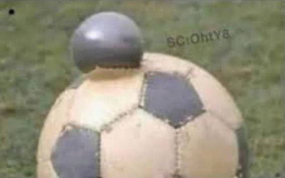 ماجد صديق بيتروس tweet media