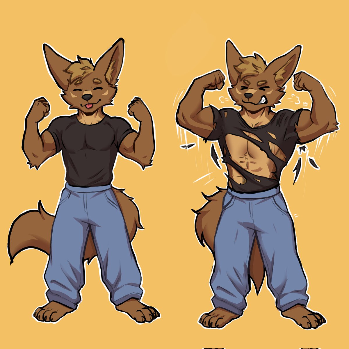Brandon el fennec 🔜 Confuror 2026 tweet media