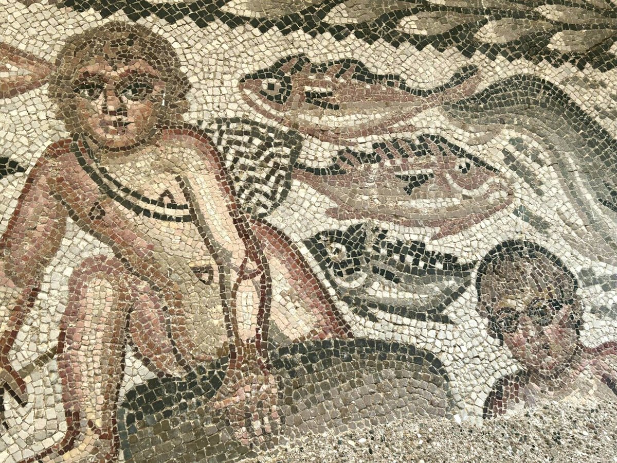 RPH969's tweet photo. Boys fishing mosaic from the city of Timgad, Algeria, circa 3rd century AD; on display at the Archaeological Museum of Timgad, Algeria.
#Algeria #Numidia #MosaicMonday https://t.co/VJOzjp0w5F
