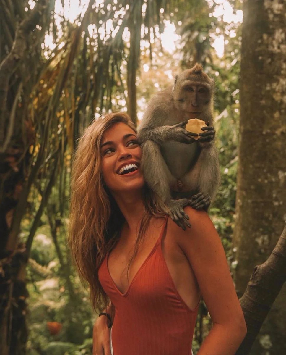 GoToGoonerettes's tweet photo. Happy #MonkeMonday https://t.co/QjY0S2soLi