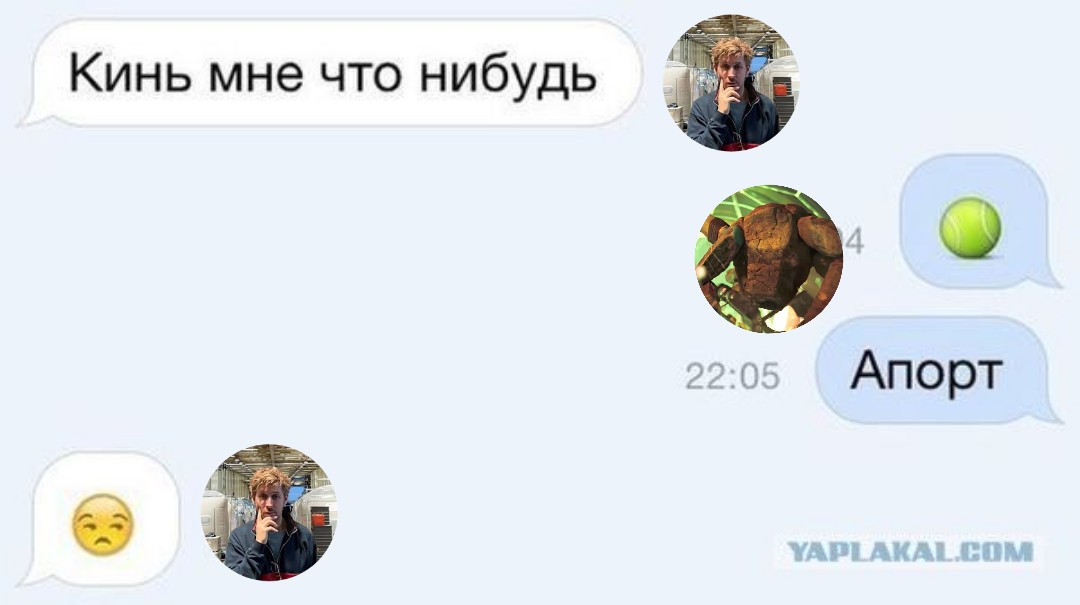𝐡𝐚𝐥𝐰𝐢 tweet media