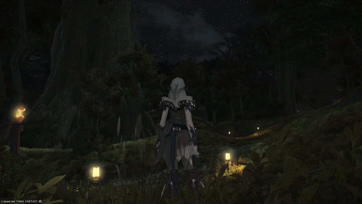 SolcAnimolo's tweet photo. Lately I've been enjoying the critically acclaimed MMORPG Final Fantasy XIV's Free Trial, that includes he entirety of A Realm Reborn, Heavensward, Stormblood and Shadowbringers expansion's with up to level 80 with no restrictions on playtime https://t.co/tlI5SdBW5m