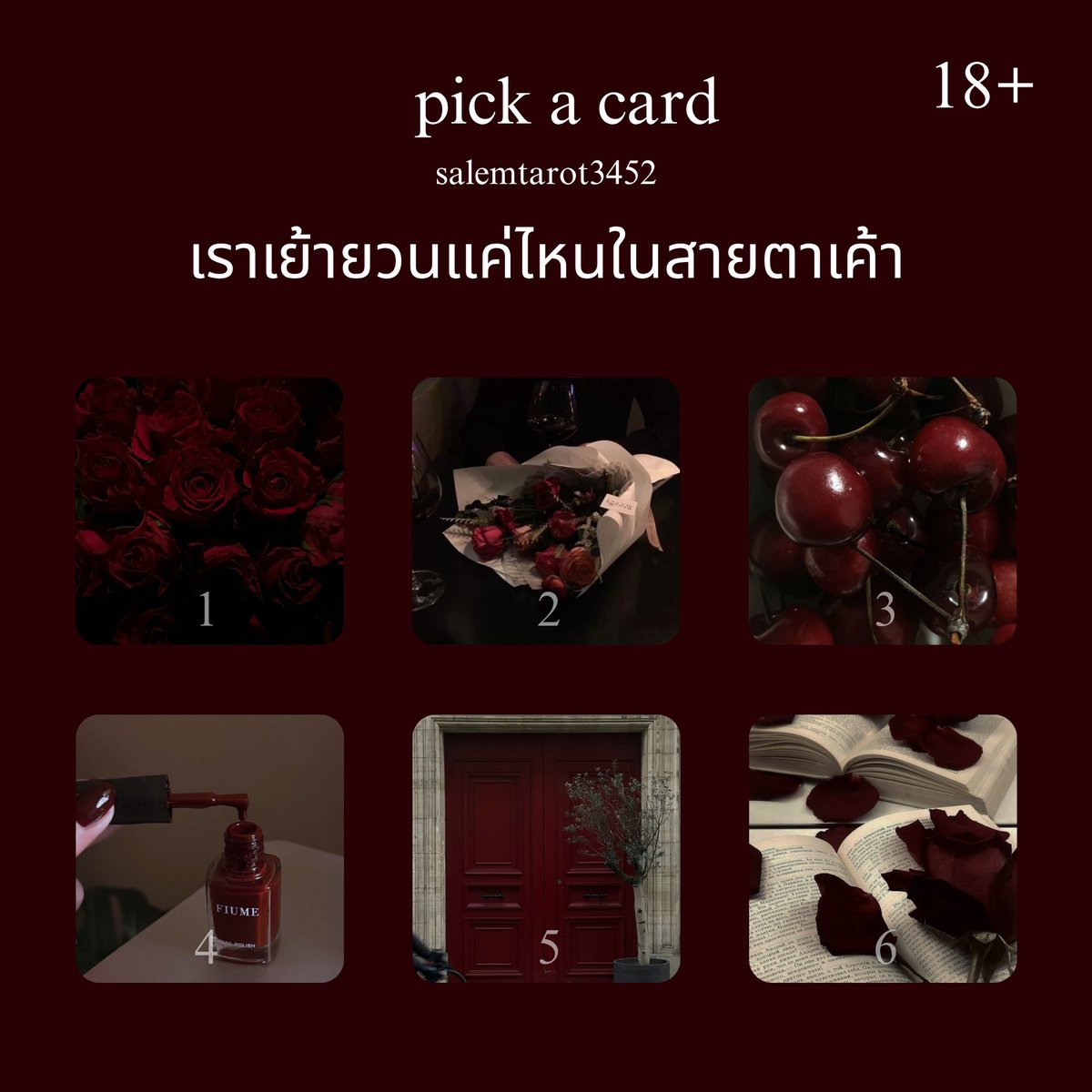 salemtarot_'s tweet photo. 💌pick a card 18+ !

 :  เราเย้ายวนแค่ไหนในสายตาเค้า

เลือกกองที่ใช่แล้วเมนชั่น เดี๋ยวมาเฉลย☁️
-รับดูดวงส่วนตัวด้วยนะคะ *-

!  *𝘱𝘭𝘴 𝘧𝘰𝘭𝘭𝘰𝘸, 𝘧𝘰𝘳 𝘮𝘰𝘳𝘦 𝘱𝘪𝘤𝘬 𝘢 𝘤𝘢𝘳𝘥*  !
#Lunashitarot #ดูดวง https://t.co/wh2igpLSxy