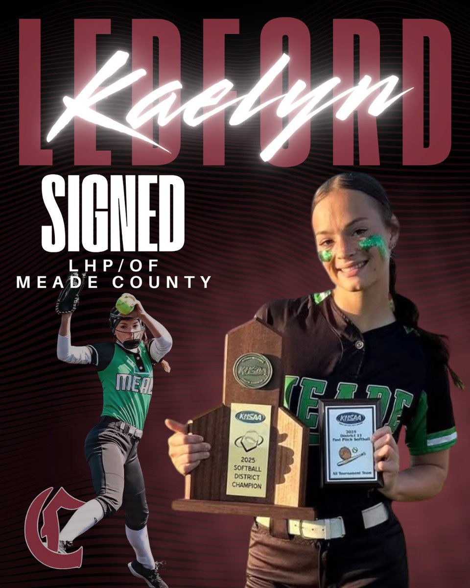 LadyTigerSoftball tweet media