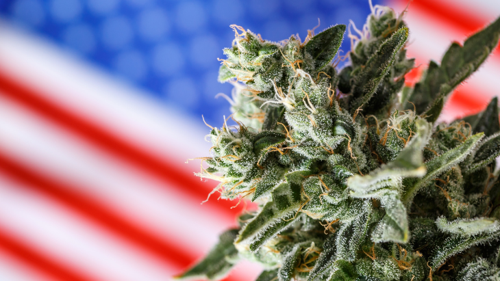 todd_harrison's tweet photo. Coalition of Over 40 Groups Urges Congress to Deschedule Marijuana, Release Cannabis Prisoners and Expunge Records

https://t.co/6cSe6WvqPY https://t.co/8Cloaja5Am