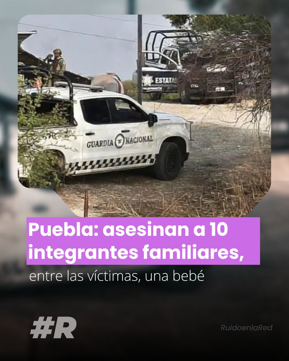 Ruido en la Red tweet media