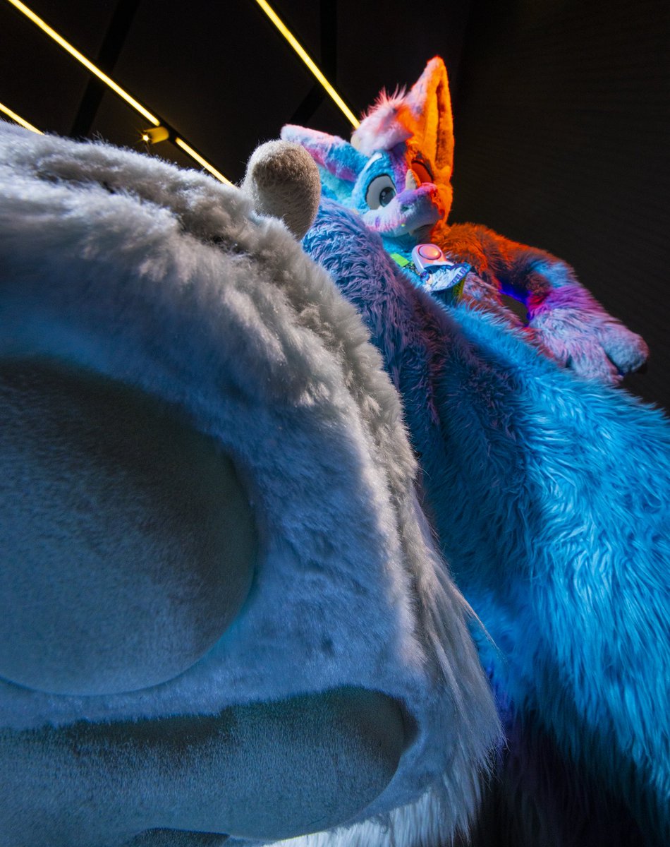 Dire Walf tweet media
