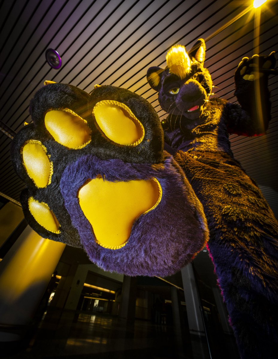 Dire Walf tweet media
