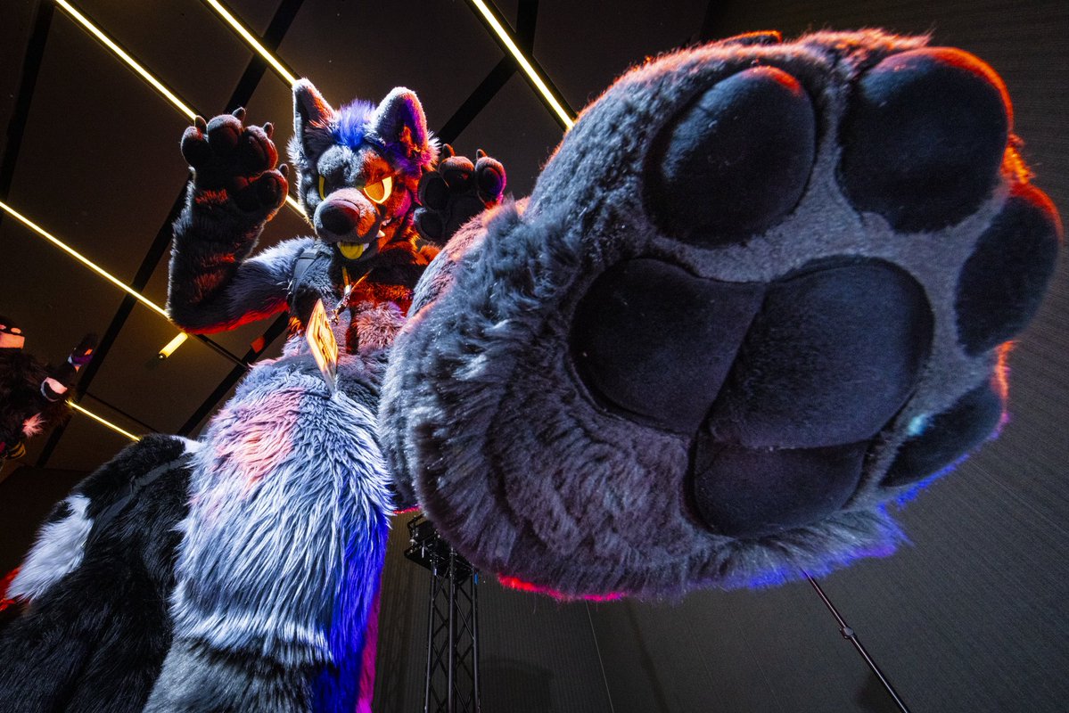 Dire Walf tweet media