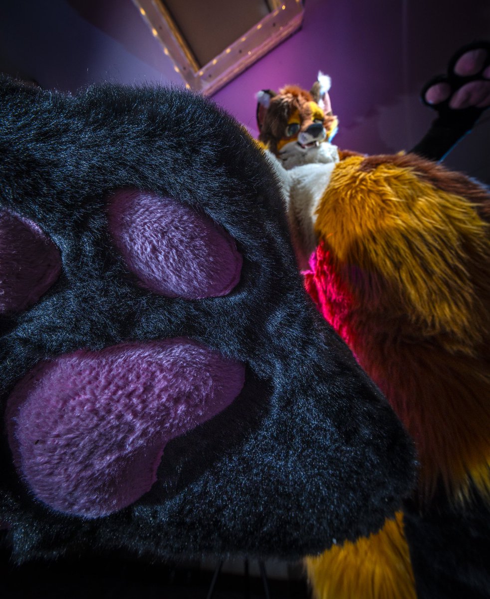 Dire Walf tweet media