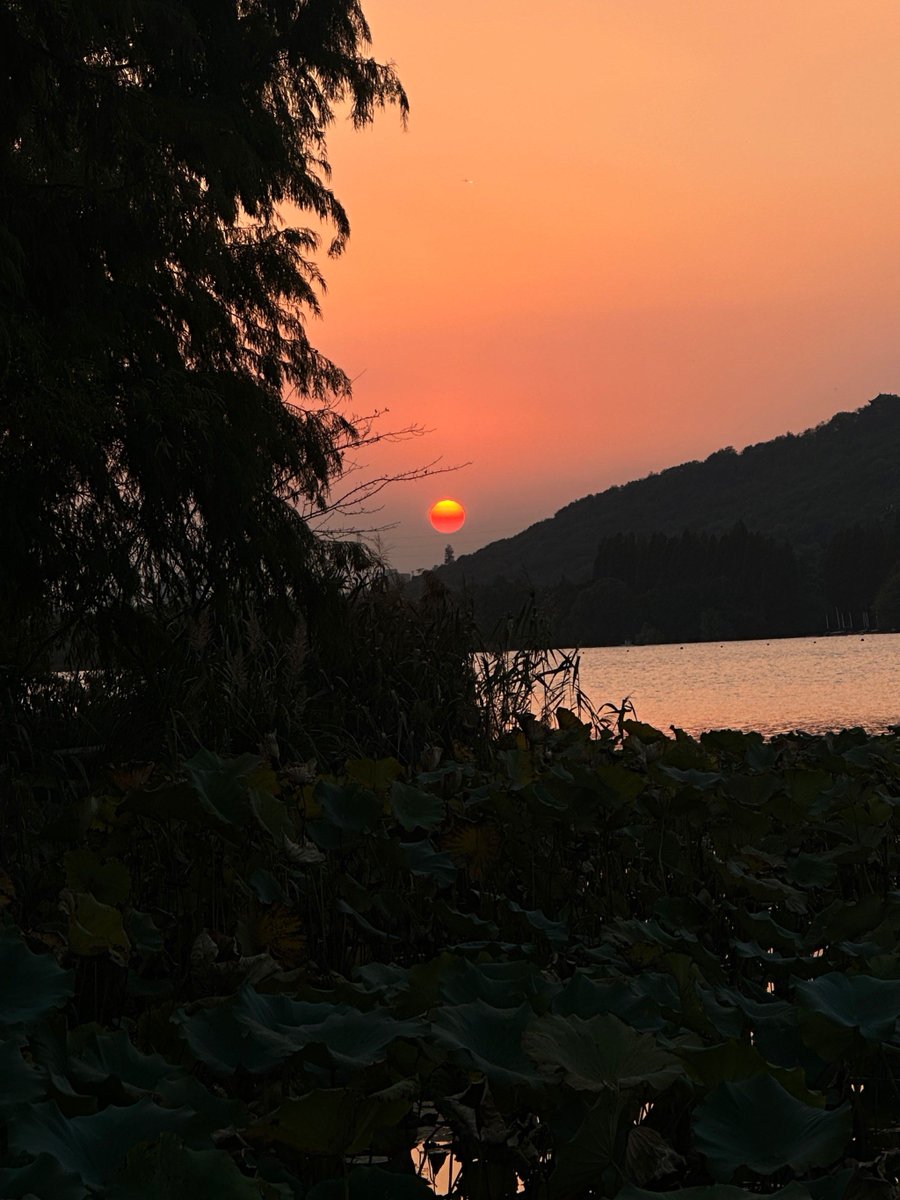 soobinsoobin05's tweet photo. Our campus photography club is hosting a sunset shooting contest this Friday at West Lake! Grab your cameras, meet at the main gate at 5pm, and share your best shots for a cool prize—tag #CampusPhotoShot to enter! https://t.co/bxlyG7epMx