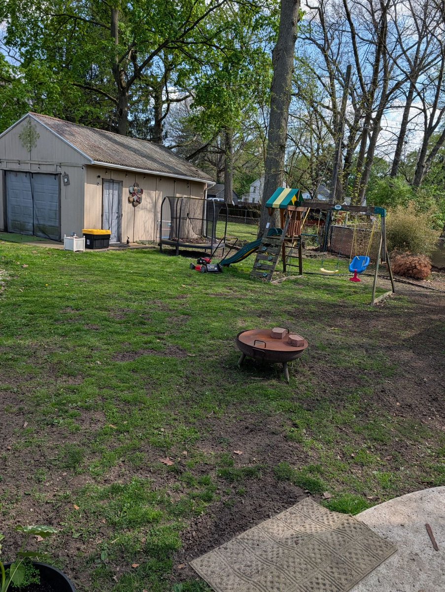 nate2nate's tweet photo. @ScottsLawn  ~3 weeks with Scott's Rapid Grass  (with dog traffic!) Impressive!  

What products do you recommend for summer maintenance? https://t.co/OFpCo7vbiI