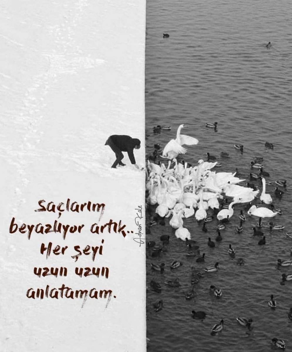 sengull97's tweet photo. Beyazladi https://t.co/An7o0KiqU8