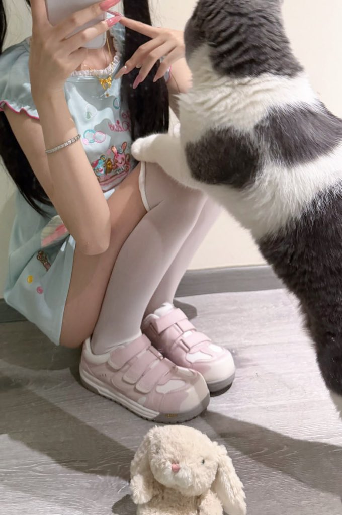 abstract8471's tweet photo. 小猫怎么比我大 https://t.co/U64Rv617bs