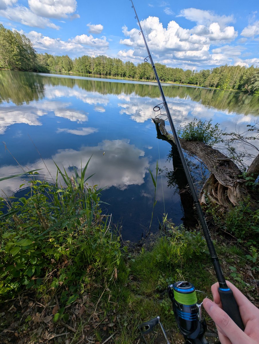 SkinCaseRev's tweet photo. Fishing is gambeling to if u think about It let's catch golf gold gold https://t.co/7g9Tiqt9Sm