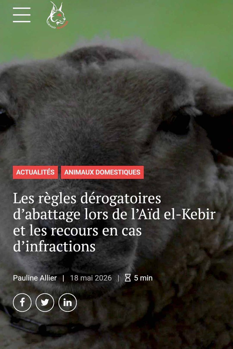 Savoir Animal, Le Magazine des Animaux tweet media