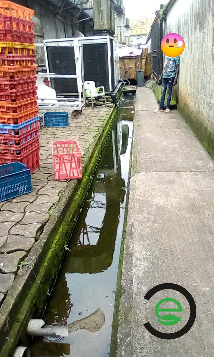 EkoloConsulting's tweet photo. On évalue souvent un supermarché à ses rayons. Un auditeur hygiène l’évalue aussi à sa zone déchets.

Retour de visite terrain dans une grande surface à Douala.

Derrière les rayons bien achalandés et l’expérience client visible, il existe une zone souvent ignorée… mais  ... 1/5 https://t.co/aNFZ8yuXkg