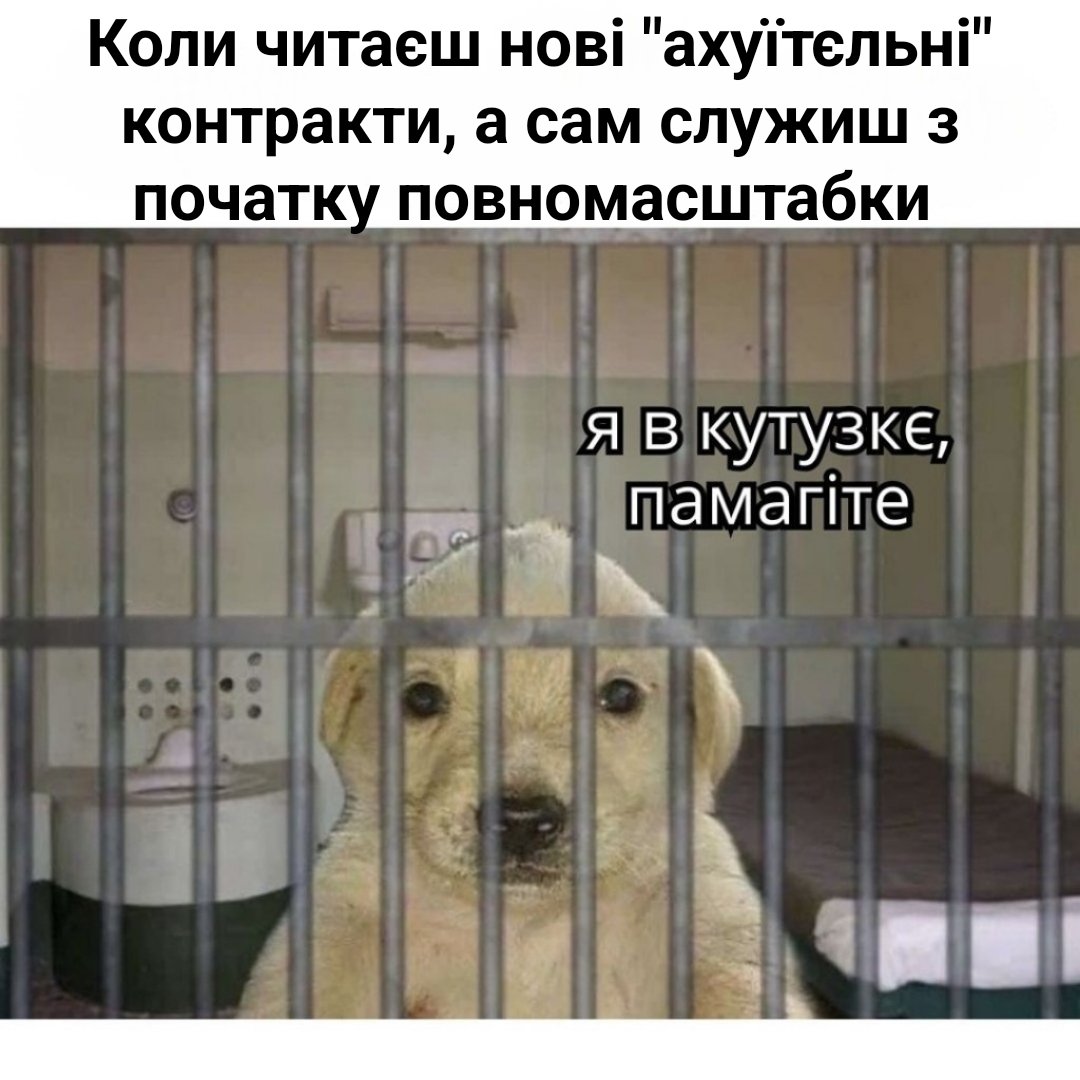 Step_niak's tweet photo. #Мем https://t.co/UEnWGAkeuw