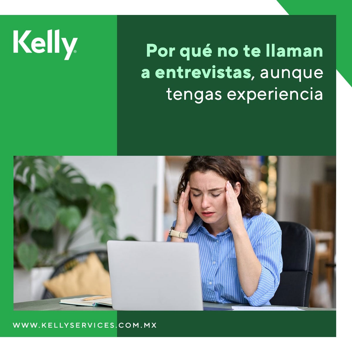 Kelly México tweet media