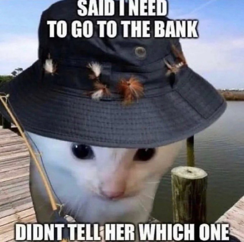 literallymecats's tweet photo. https://t.co/OC32bDKjvn