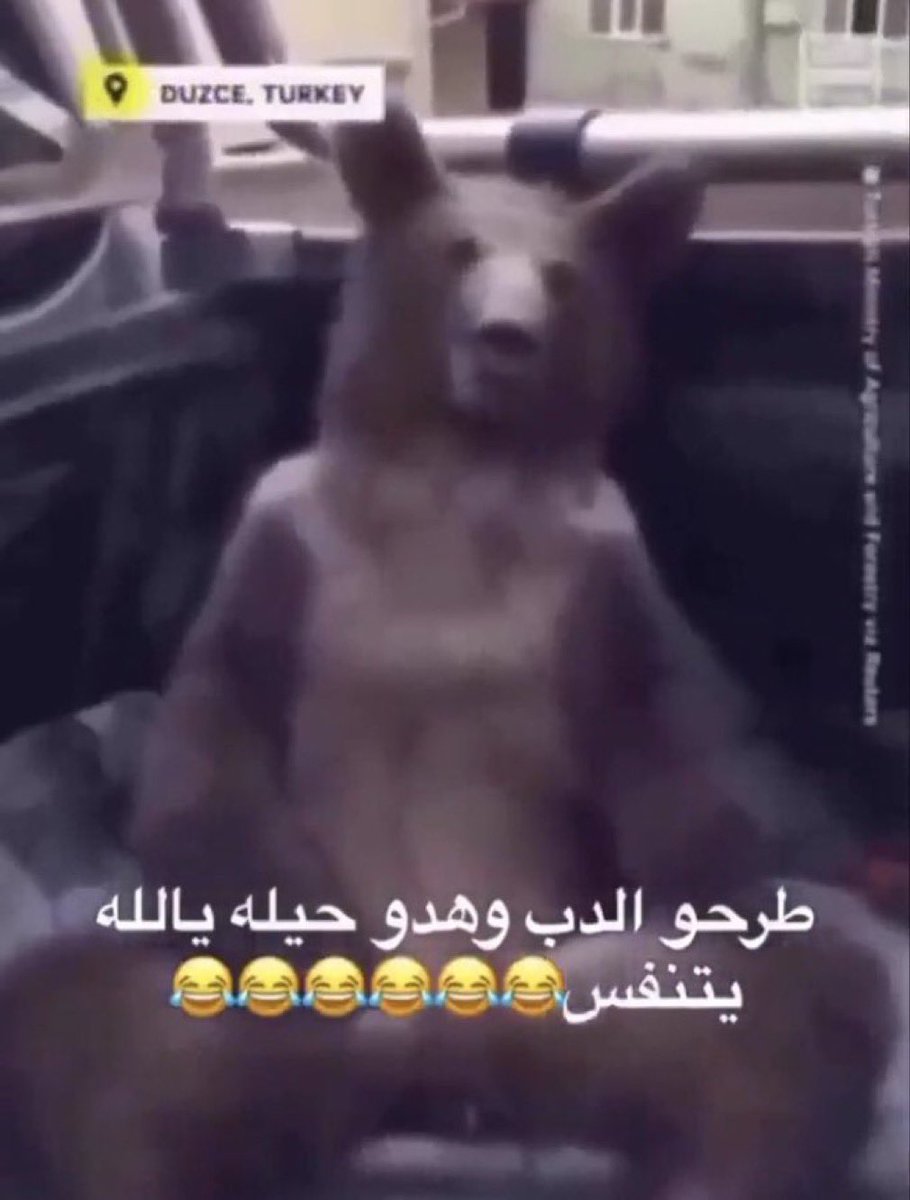 Batnfc's tweet photo. العن ام القهر الانتظار راح عالفاضي والله حاضر فوق ١٠ مباريات https://t.co/OAzxkkNeXL