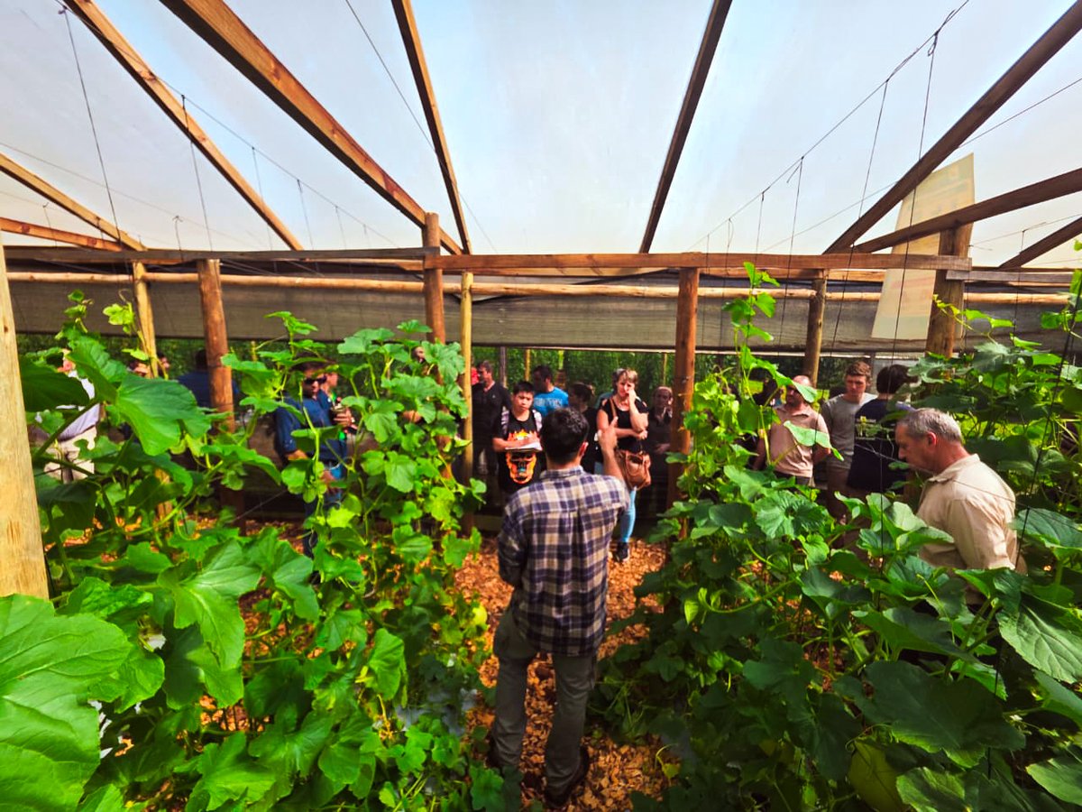 noticiasdel6's tweet photo. Misiones apuesta a la producción de sandía y melón contra estación para mejorar la rentabilidad
@Facundosartori @AgroMnes @BiofabricaMnes @fmiravet @LucianaImbrogno #ProducciónContraEstación #SandíaYMelón #AgroMisiones #MisionesProduce 
https://t.co/JaGmr3dAE2 https://t.co/r11OI1NOKD