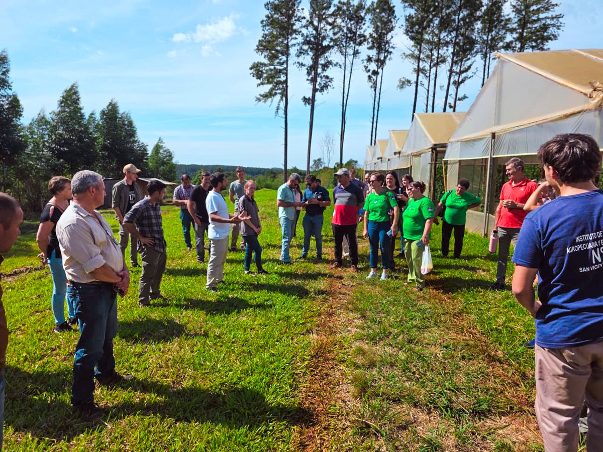 noticiasdel6's tweet photo. Misiones apuesta a la producción de sandía y melón contra estación para mejorar la rentabilidad
@Facundosartori @AgroMnes @BiofabricaMnes @fmiravet @LucianaImbrogno #ProducciónContraEstación #SandíaYMelón #AgroMisiones #MisionesProduce 
https://t.co/JaGmr3dAE2 https://t.co/r11OI1NOKD