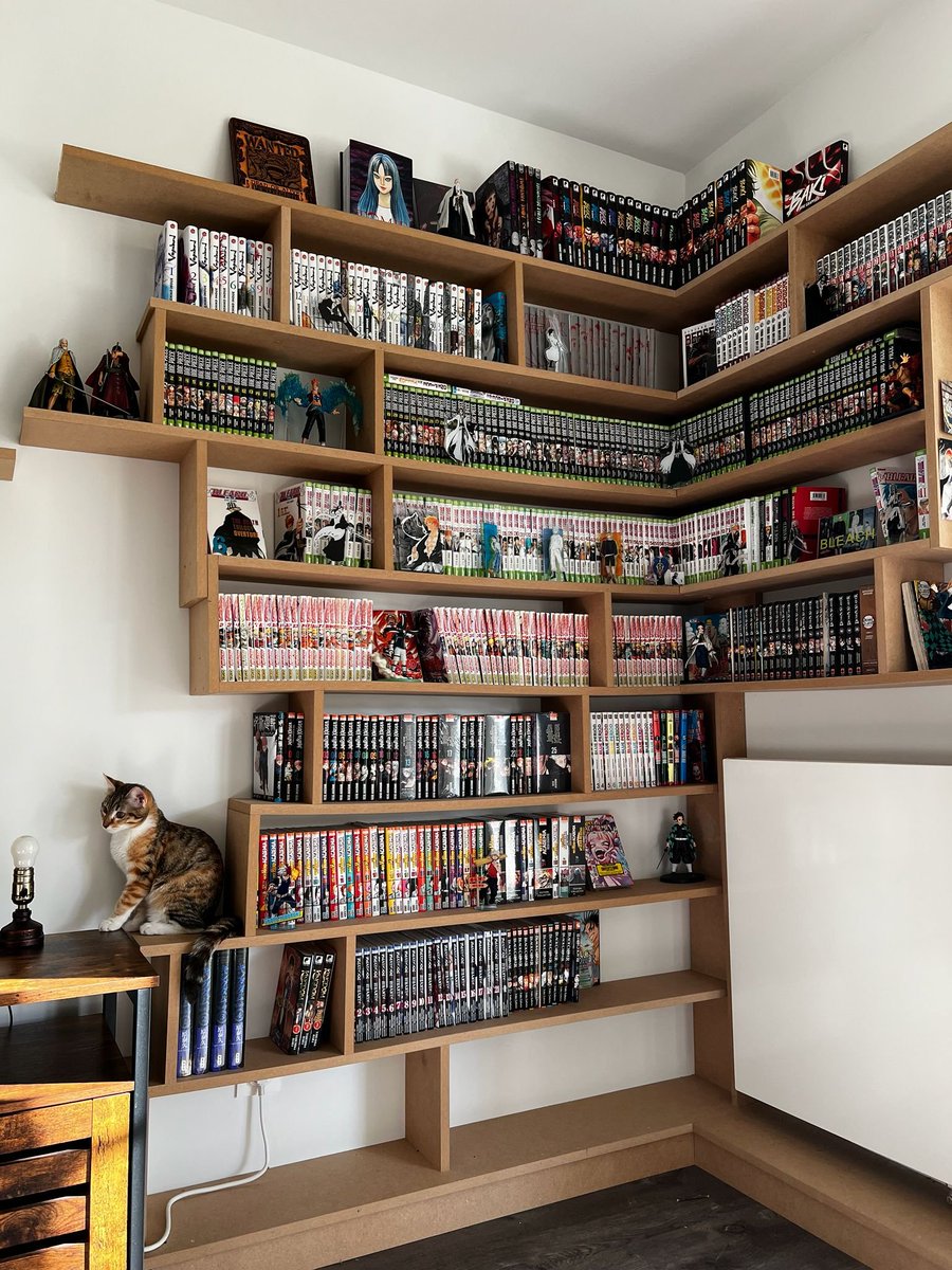 mathioouuuuu's tweet photo. @Tokanim_FR Les espaces ont étés remplis depuis la photo (le chat est tjrs là) https://t.co/rHaNmbG16D