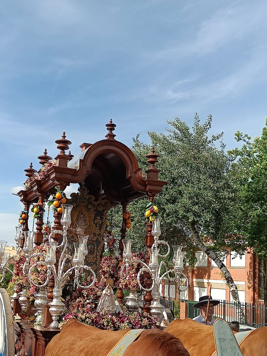 PasionDeSevilla's tweet photo. En estos momentos la @HdadMontequinto  por Montequinto 

#ElRocio2026 https://t.co/3QjMrBkxwy
