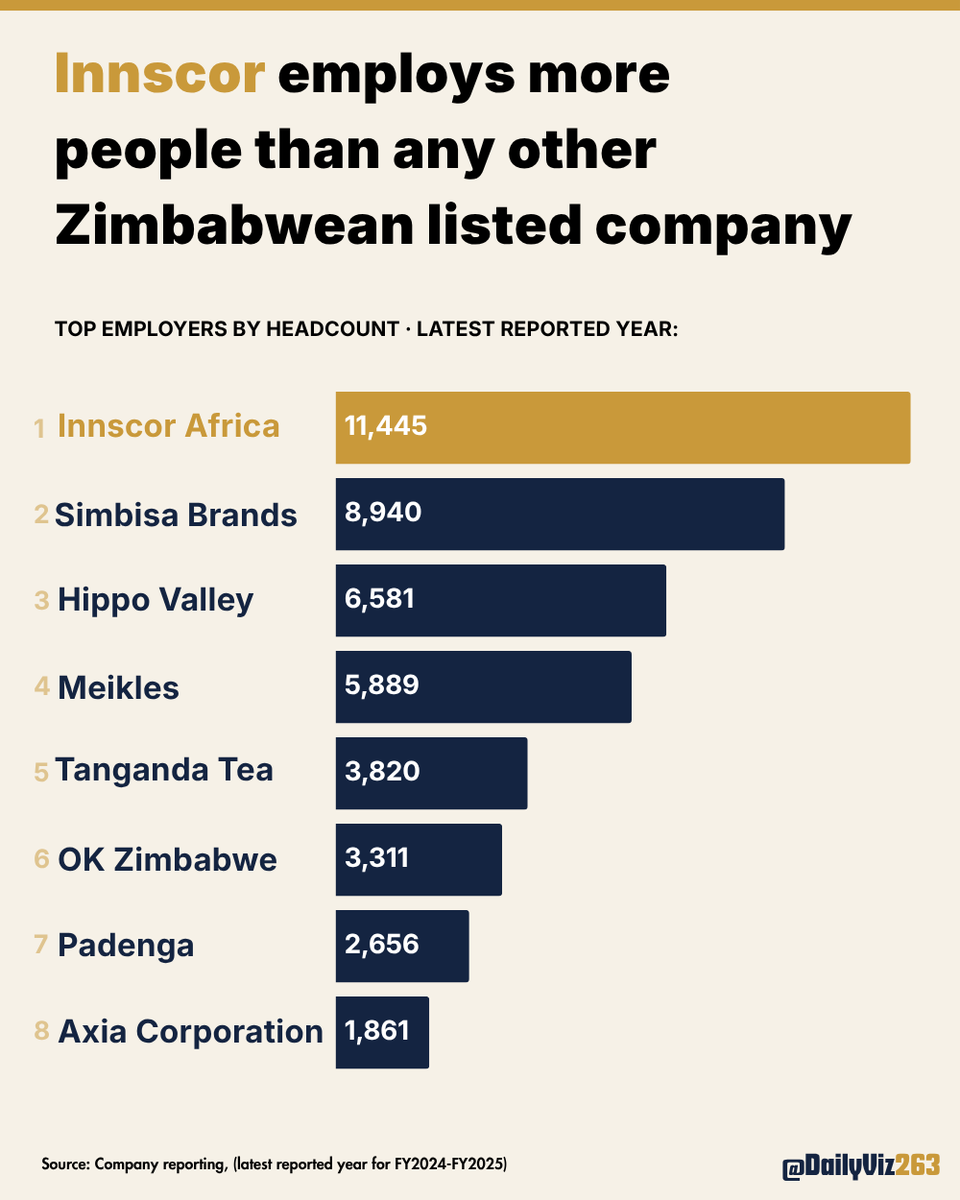 DailyViz ZW🇿🇼 tweet media