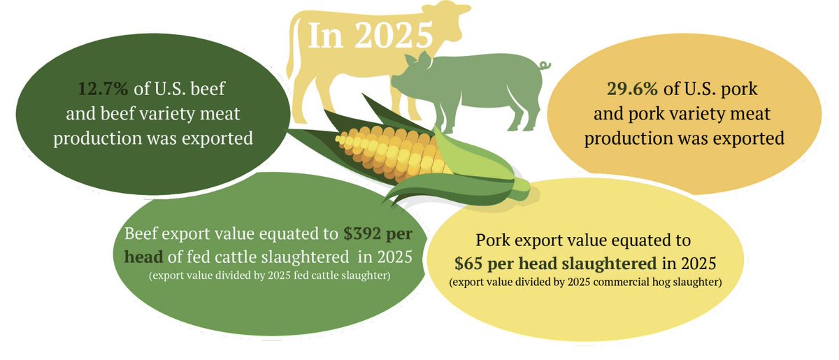 FarmPolicy's tweet photo. In 2025, 12.7% of U.S. #beef and beef variety meat production was #exported while 29.6% of U.S. #pork and pork variety meat production was exported.
From the @USMEF: https://t.co/jkbEewfBRV https://t.co/K802DL9xfa