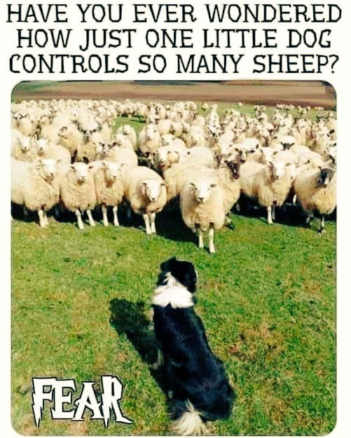 Truthseeker tweet media