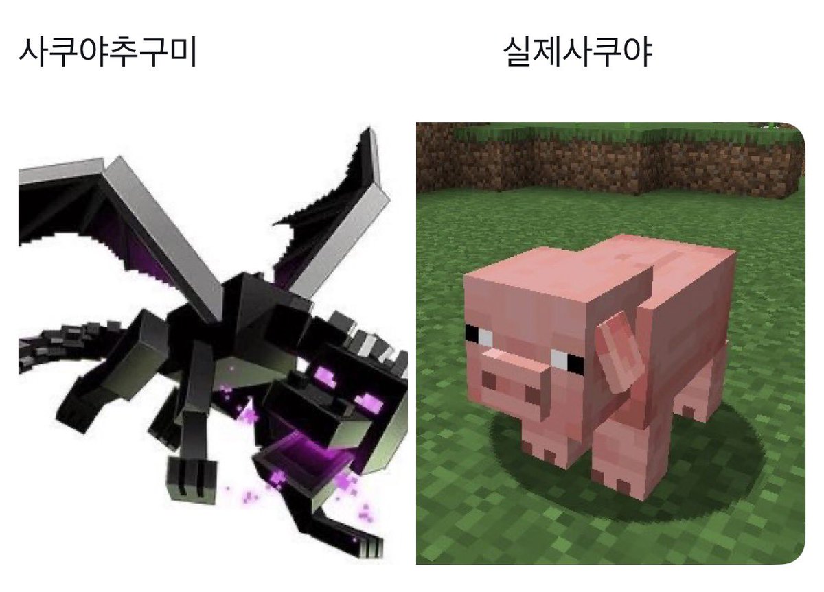 후유 tweet media