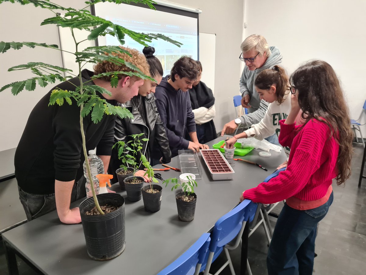 AppFadUcalp's tweet photo. Taller de plantas nativas rioplatenses FAD UCALP

Actividad Intercátedras 2026, organizada por la asignatura "Proyecto Arquitectónico 1" (Turno Mañana y Turno Noche) y la asignatura "Arquitectura, Paisaje y Patrimonio"

#Ecosistemas #Restauración #Paisaje #Proyecto #Arquitectura https://t.co/ovz2KCJs0c