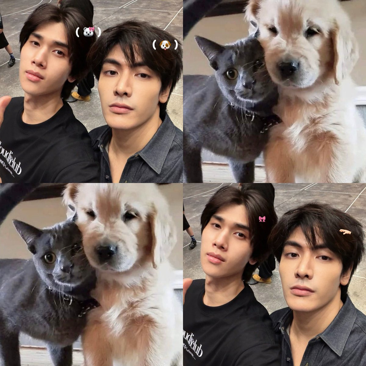 rest ✮ สล ‎ ૮ •`ﻌ •́ა tweet media