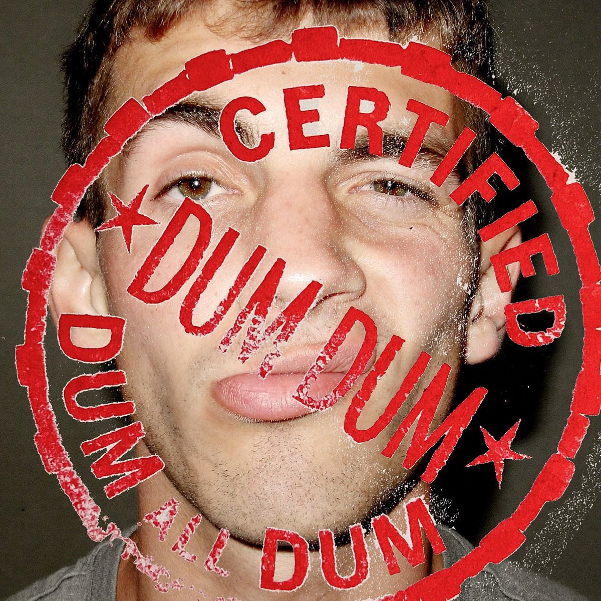 Certfied Dum Dum tweet media
