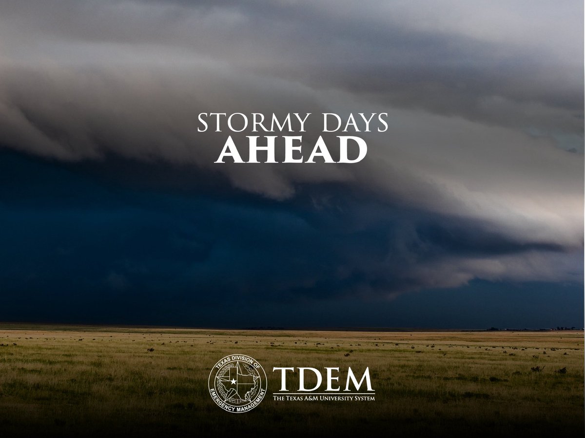 Texas Division of Emergency Management tweet media