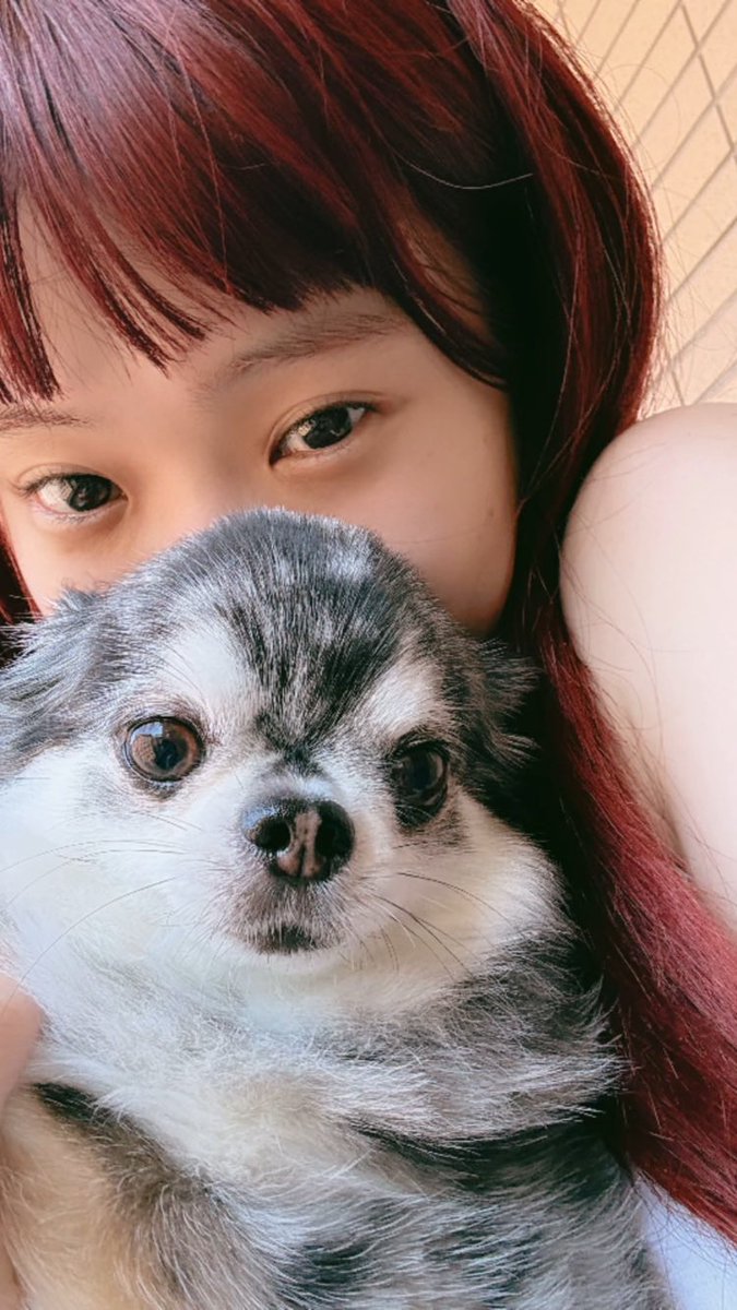 ゆっち🐕🐾 (@yu12_ColorColor) / Posts / X
