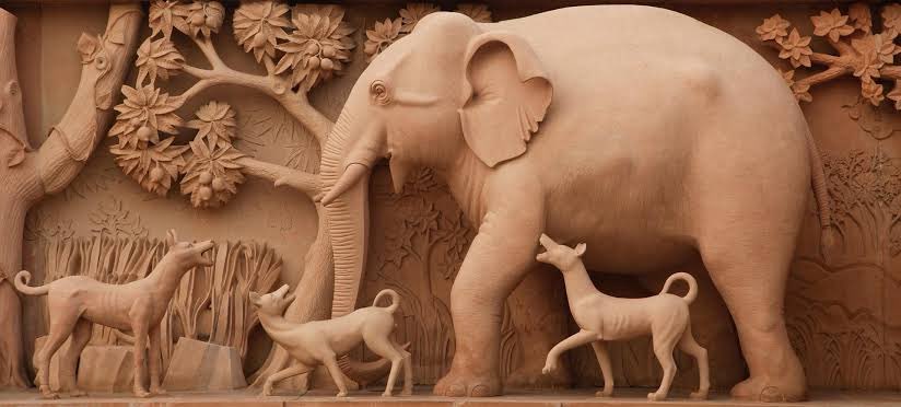 kumarj7's tweet photo. @dhruv_rathee The elephant keeps walking as the dogs keep barking. @HelleLyngSvends https://t.co/sIgRDwH6X3